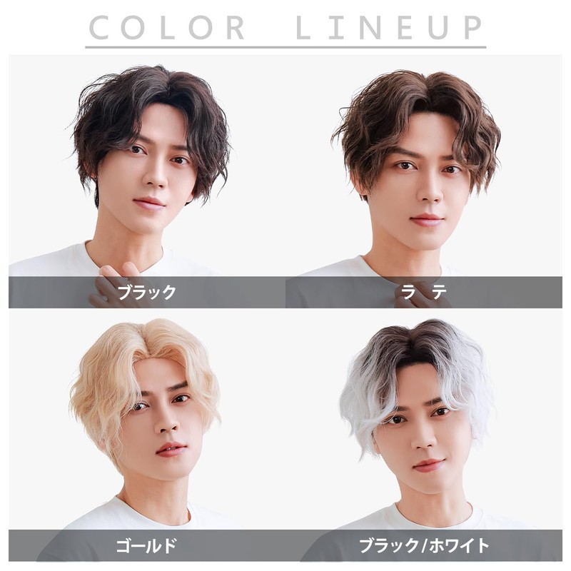 TefuRe MEN-007Nbk Men's Wig, Rough, Casual Style, Perm, Center Part