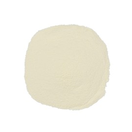 OliveNation Low Heat Nonfat Dried Milk for Baking, Powdered Whey Solids - 2 pounds