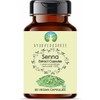 AYURVEDASHREE Senna Extract 500mg - 60 Vegetarian Capsules | Cassia