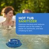FROG @Ease Floating System for Hot Tubs - Quick &