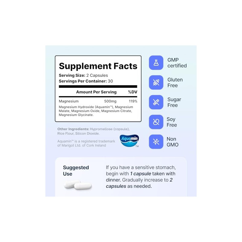 Sonohealth Complejo Magnesio Espectro 500mg Glicinato Malato Citrato Óxido Hidroxi