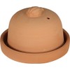 Eurita by Reston Lloyd Terra Cotta Garlic Roaster, Natural
