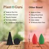 Frankincense Charcoal Incense Cones 1" TOPFLOW - 50 Pack -