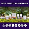 Host Defense Lions Mane (Hericium Erinaceus) 60 Capsules