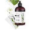 ApotheCARE Essentials The Replenisher Moisturizing Shampoo, Vanilla, Argan Oil, Sweet