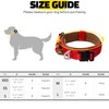 Comfortable Collar, Soft Cowhide Padded Dog Collar, Fits All Breeds,