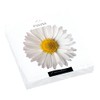 20 Napkins Daisy Blossom Large | Flowers | Blossom |