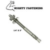 MIGHTY FASTENERS Wedge Anchors, 1/4" X 3" - Premium 304