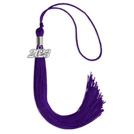 Endea Graduation Single Color Tassel with Silver Date Drop (Purple, 2023)