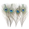 36 PCS Real Natural Peacock Eye Feathers 10-12 inch for