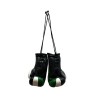Mini Palestine Boxing Glove / Palestine Flag / Palestine Boxing