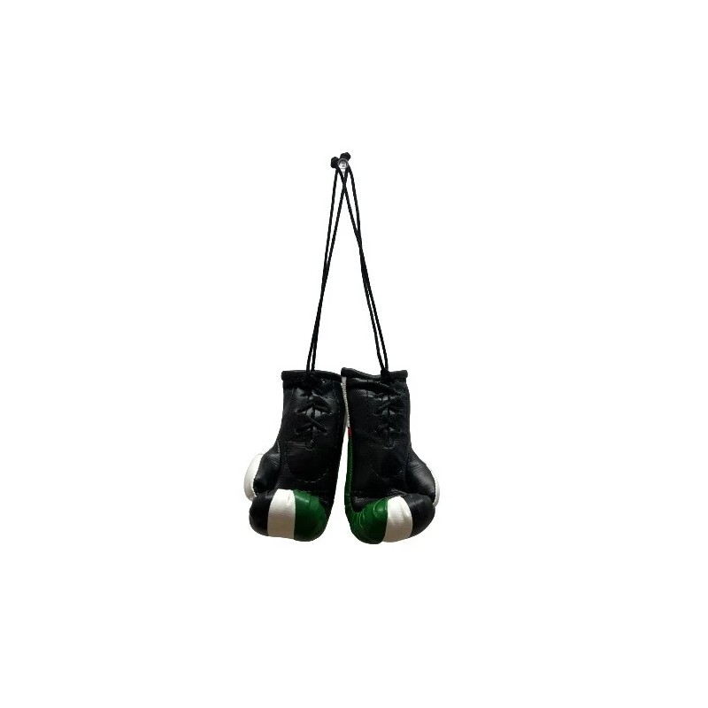 Mini Palestine Boxing Glove / Palestine Flag / Palestine Boxing