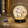 CXTVOVZSSY 3D Night Light with 16 Color, 4.7 in Bedroom