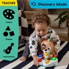 Baby Einstein Drum & Learn Dean Musical Learning Toy, Multisensory,