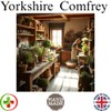 Natural Comfrey Ointment 120ml: bone break, fractures, wounds, joint &