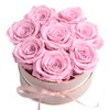 ROSEMARIE SCHULZ Heidelberg Rose Box Pink Round Infinity Roses -