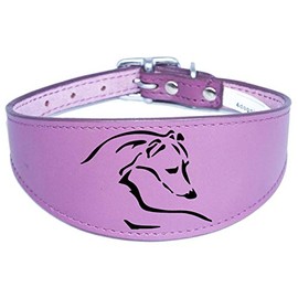 Dog Collar Italian Greyhound Collar Whippet Collar Greyhound Collar Padded Backing D12 (14-17 Inch (35cm-43cm), Purple)