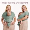 Momcozy Adjustable Buckle Baby Wrap Carrier Cooling Air-Mesh, Easy to
