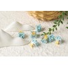 EPOMAKER Sea Salt Silent Mechanical Keyboard Switches Set, 5-Pin Switch,