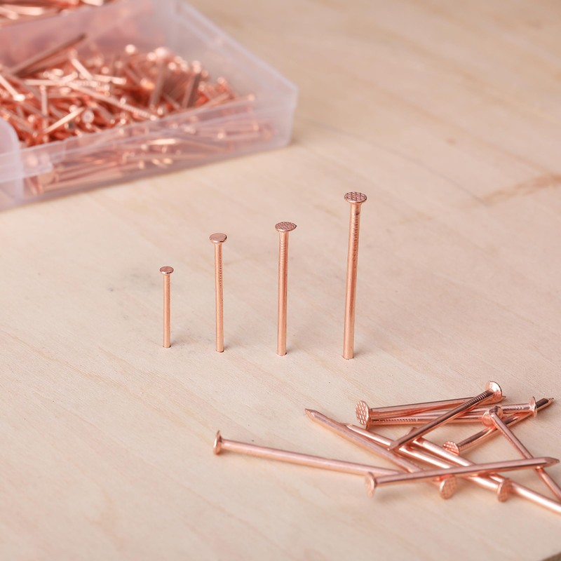 Mr. Pen- Nail Assortment Kit, 600 Pcs, 4 Sizes, Rose
