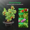 VIVOSUN DWC Hydroponics Grow System with Top Drip Kit, 5-Gallon