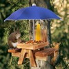 Gnodary Squirrel Feeder with Umbrella, Squirrel Feeders for Outside, Squirrel