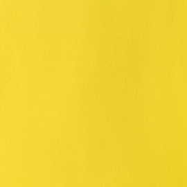 Winsor & Newton Series 4 14ml Tube Designers' Gouache - Cadmium Lemon