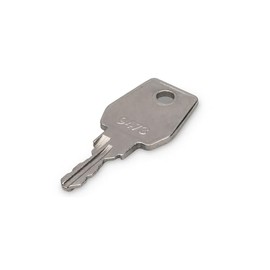 DIGITUS Professional DN-19 KEY-9473 Key, Silver
