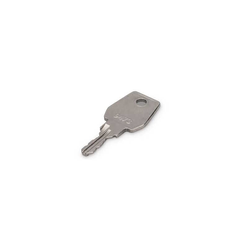 DIGITUS Professional DN-19 KEY-9473 Key, Silver