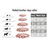 BUDKAS Rolled Leather Dog Collar for Small Medium Large Dogs