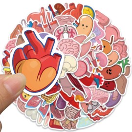 Cute Cartoon Organs Stickers for Kids Teens Adults, 65PCS Medical Body Organ Anatomy Stickers Pack for Student Nurse, Waterproof Vinyl Sticker Bulk for Water Bottle,Laptop,Scrapbook