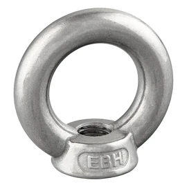 Ring Nuts Similar to DIN 582, Cast and Polished, Rustproof Stainless Steel A2/V2A, Eye Nut (M10, Pack of 2)