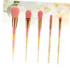 Mikinona 5pcs 1 Set Pink Makeup Brush Set with Transparent