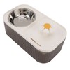Cat Water Fountain Food Bowl High Capacity Quiet 2 In