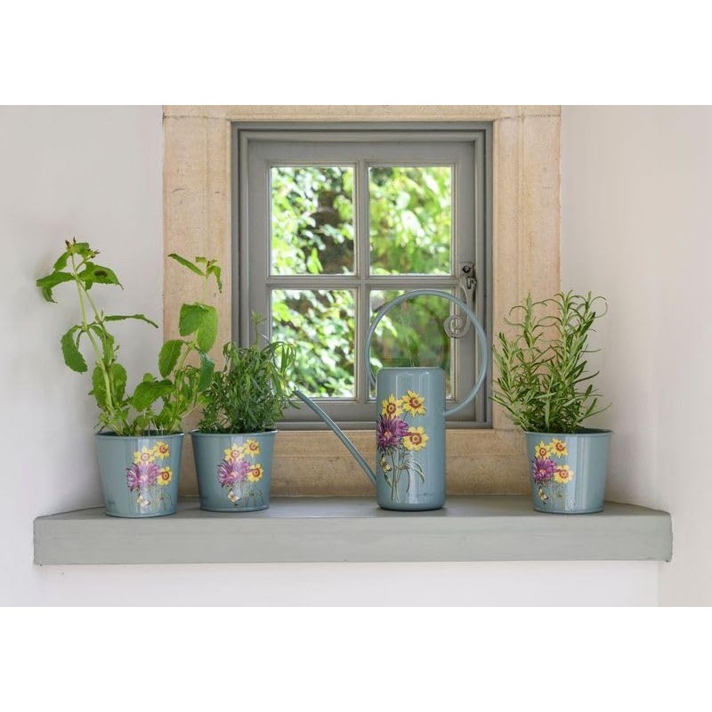 Burgon & Ball RHS Gift Herb Pots Asteraceae