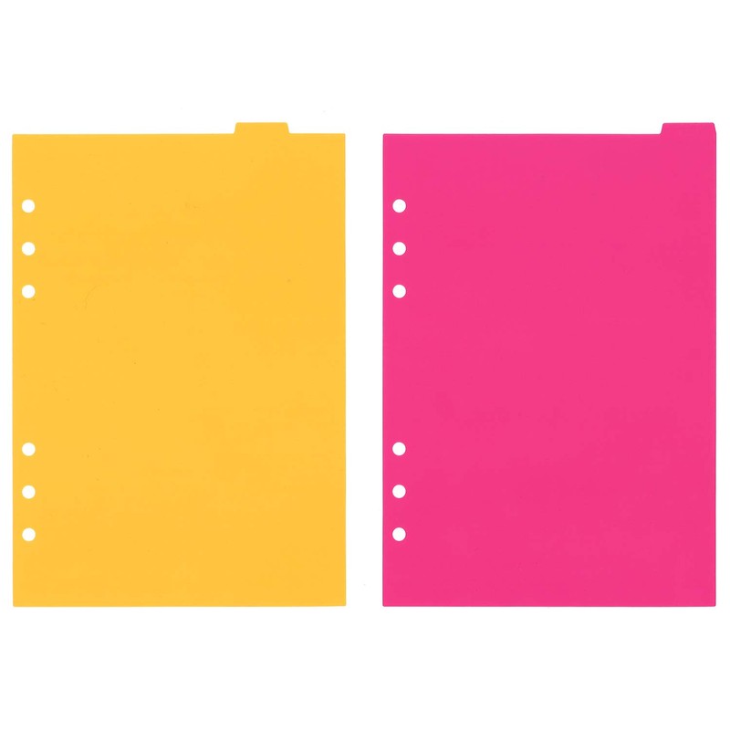 Raymay Fujii Da Vinci Notebook Refill, Color Index, 6 Sections,