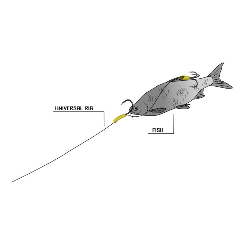 Black Cat Catfish Mounting for Fishing on Catfish Universal Rig