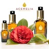 Organic Premium Camellia Oil - 50 ml - Natural Body
