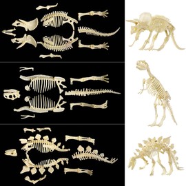 NUOLUX NUOLUX 4D Dinosaur Fossil Skeleton Assorted Dinosaur Toy DIY 3 Pieces Dinosaur Bone Fossils for Children Boys Girls