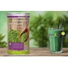 Bio Gerstengrassaft Pulver 200g - 100% Rohkost Qualität - echtes