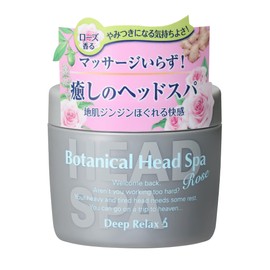 Hair Quality Improvement Research Institute Botanical Head Spa Rose Skin Pores Concentrated Repair Luxury Relaxing Treatment 9.1 oz (270 g)