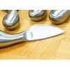 Cilio Piave Brushed Stainless Steel Cheese Knife in Wooden Box,