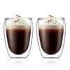 Bodum Double Wall Glass Pavina