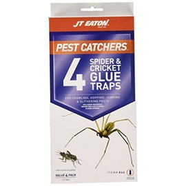 JT Eaton 844 Pest Catchers Large Spider and Cricket Size Attractant Scented Glue Trap, 16 Traps