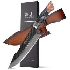 SHANGDAO Damascus Chef Knife 8 Inch,67 Layers Alloy Steel Professional Kitchen Knives with Leather Sheath, Hand Forged Resin & Wood Handle QILIN Series