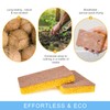 Biodegradable Natural Kitchen Sponge Eco Scratch Free Compostable Cellulose Sisal