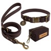 Wisedog Dog Collar and Leash Set, Waterproof Adjustable Puppy Collars