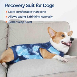pangdi Recovery Suit for Dogs After Surgery, Spay Suit Female Spay & Male Neuter, Dog Onesie Body Suits for Post-Surgical, Abdominal Wounds and Skin Conditions, Blue, XS