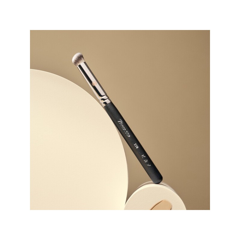 피카소 270 컨실러 Picasso 270 Concealer