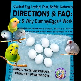 Plastic Budgie Eggs Stop Brooding & Laying! 8 Dummy Eggs for Budgerigar Parakeet, Parrotlet, Diamond Dove. Solid Safe - USA